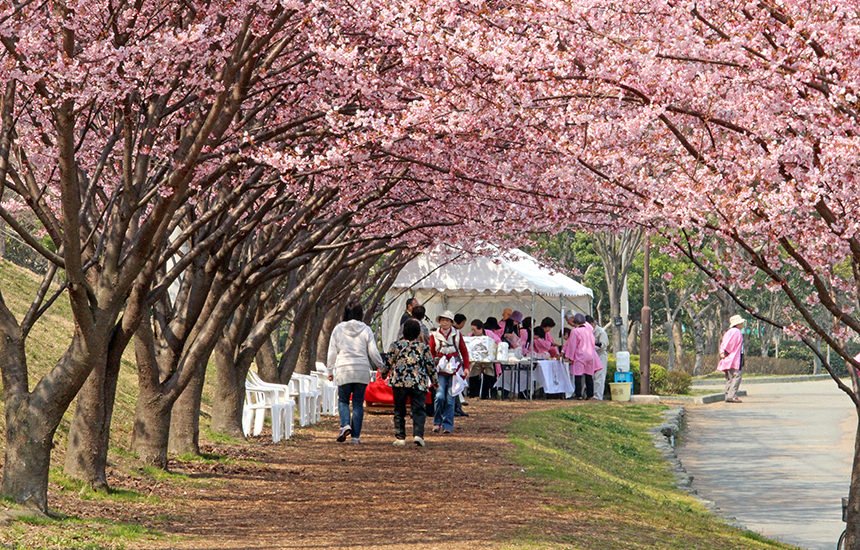 🏞️ 도쿠시마현 남부 건강 운동 공원 (도쿠시마켄난부켄코운도코엔) 이미지 11
